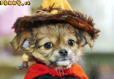 psik mexican