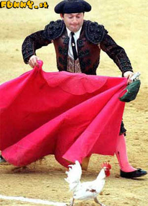toreador